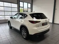 Gebraucht Mazda CX-5 Center-Line 165 PS (121 kW) 2023 Weiß SUV