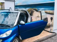 Gebraucht Smart ForTwo Cabrio 72 PS (52 kW) 2007 Blau Cabrio