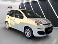 gebraucht Fiat Panda NewKlima 1.0 Hybrid 1 Hand