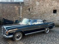 Gebraucht Mercedes W111 150 PS (110 kW) 1966 Blau Cabrio
