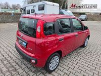 Neu Fiat Panda Icon 69 PS (50 kW) 2025 Rot Limousine