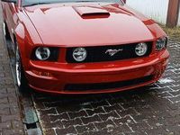 Gebraucht Ford Mustang GT 303 PS (222 kW) 2009 Rot Coupé