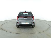 Neu Kia Picanto Vision 63 PS (46 kW) 2025 Grau Kleinwagen