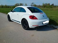 gebraucht VW Beetle Beetle The1.2 TSI