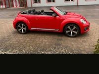 gebraucht VW Beetle Cabriolet 2,0 TSI Turbo DSG