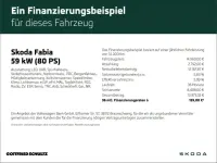 Gebraucht Skoda Fabia Essence 80 PS (58 kW) 2024 Grau Kleinwagen