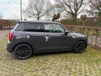 Gebraucht Mini Cooper S Chili 192 PS (141 kW) 2020 Grau Kleinwagen