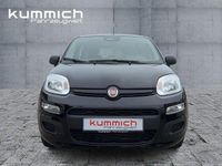 Neu Fiat Panda Icon 69 PS (50 kW) 2026 Schwarz Kleinwagen