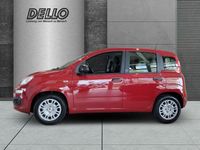 Neu Fiat Panda Icon 65 PS (47 kW) 2026 Rot Kleinwagen
