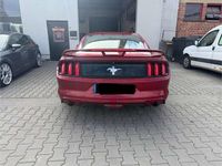 Gebraucht Ford Mustang 309 PS (227 kW) 2016 Coupé