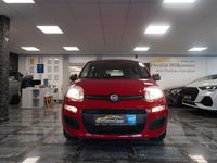 Gebraucht Fiat Panda Pop 69 PS (50 kW) 2016 Rot Kleinwagen