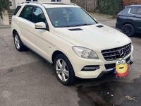 Gebraucht Mercedes ML250 204 PS (150 kW) 2012 Weiß SUV