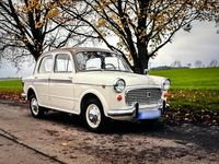 Gebraucht Fiat 1100 48 PS (35 kW) 1960 Kleinwagen