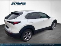 gebraucht Mazda CX-30 L SKYACTIV-G 2.0 M Hybrid 6GS AL-SELECTION A18 DES