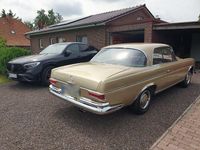 Gebraucht Mercedes W112 160 PS (117 kW) 1965 Gold Coupé