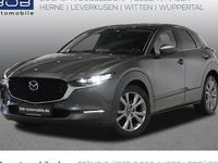 Gebraucht Mazda CX-30 Selection 122 PS (89 kW) 2021 Grau SUV