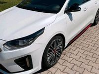 Gebraucht Kia ProCeed GT GT 204 PS (150 kW) 2019 Weiß Kleinwagen