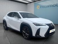 Gebraucht Lexus UX 250h Sport Line 184 PS (135 kW) 2023 Weiß SUV