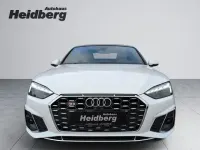 Gebraucht Audi S5 Cabriolet Sport 354 PS (260 kW) 2024 Weiß Cabrio