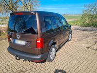 Usata VW Caddy 75 CV (55 kW) 2018 Marrone Monovolume