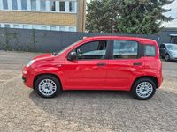Gebraucht Fiat Panda Easy 69 PS (50 kW) 2020 Rot Kleinwagen
