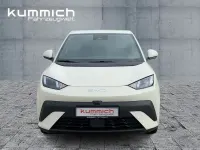 Gebraucht BYD Dolphin Surf Comfort 114 kW (156 PS) 2026 Weiß Kleinwagen
