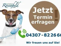 Brugt VW Caddy Maxi 102 HK (75 kW) 2017 Hvid MPV