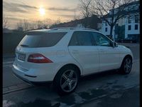 Gebraucht Mercedes ML250 2012 Weiß SUV
