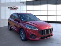 Gebraucht Ford Kuga ST-Line 150 PS (110 kW) 2023 Rot (lucidrotmetallic) SUV