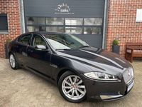 gebraucht Jaguar XF 2.2D AUTOM,LEDER,AHK,XENON