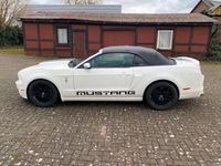 gebraucht Ford Mustang Cabrio Premium Edition