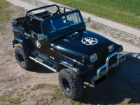Gebraucht Jeep Wrangler 104 PS (76 kW) 1990 Schwarz SUV