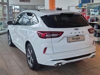 Neu Ford Kuga ST-Line 186 PS (136 kW) 2026 Weiß SUV