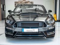 gebraucht Ford Mustang CABRIO 3.7 SHELBY GT350 FACELIFTLEDER NA