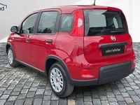 Gebraucht Fiat Panda 69 PS (50 kW) 2024 Rot Kleinwagen