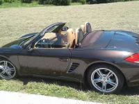 Gebraucht Porsche Boxster 256 PS (188 kW) 2009 Braun Cabrio