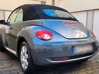 gebraucht VW Beetle NewCabrio 1.9 Tdi 105Ps Tüv Au Neu Leder Alufelgen Top