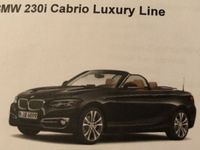 gebraucht BMW 230 i Cabrio Luxury Line