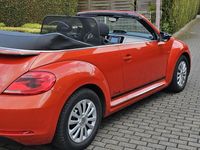 gebraucht VW Beetle 2.0 TDI 81kW DSG BMT CLUB Cabriolet CLUB