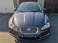 Gebraucht Jaguar XF 207 PS (152 kW) 2008 Braun Limousine