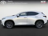 Gebraucht Lexus NX450h+ Business Edition 309 PS (227 kW) 2024 Titaniumweiß SUV