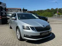 Gebraucht Skoda Octavia Ambition 116 PS (85 kW) 2019 Grau Limousine