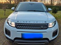 Gebraucht Land Rover Range Rover evoque 150 PS (110 kW) 2016 Weiß SUV