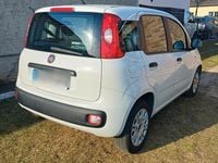 Gebraucht Fiat Panda Easy 69 PS (50 kW) 2019 Weiß Kleinwagen