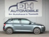 Gebraucht Skoda Fabia Active 75 PS (55 kW) 2019 Grau Kleinwagen