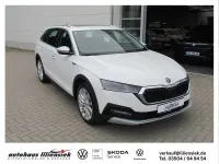 Gebraucht Skoda Octavia Scout 200 PS (147 kW) 2023 Weiß Kombi