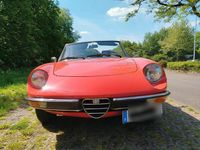 Gebraucht Alfa Romeo Spider Veloce 126 PS (92 kW) 1979 Rot Cabrio