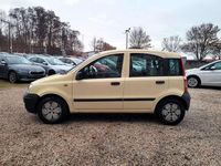 Gebraucht Fiat Panda Active 54 PS (39 kW) 2009 Giallo vaniglia/coriandolo Kleinwagen
