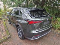 Gebraucht Lexus NX300h E-FOUR Luxury Line 2021 Grün SUV