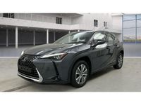 Gebraucht Lexus UX 300e Luxury Line 150 kW (204 PS) 2022 Grau SUV